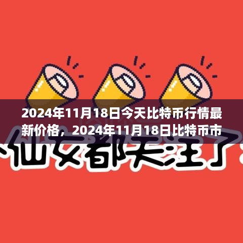 2024年11月18日比特币市场行情最新价格分析与展望