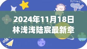 林浅浅陆宸爱情故事最新篇章，甜蜜揭秘于2024年11月18日