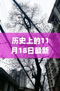 历史上的11月18日，独特风味与惊喜的探秘之旅——最新坏酷酷回顾