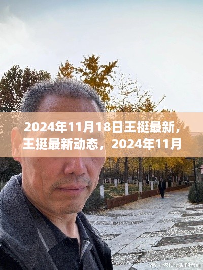 王挺最新动态及观点探析，2024年11月18日探析报告