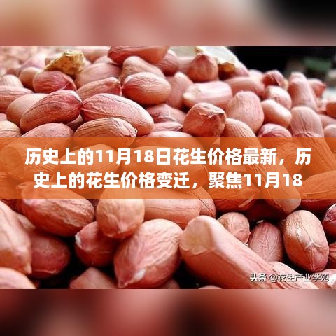 聚焦历史花生价格变迁，揭秘11月18日独特印记下的最新花生价格动态