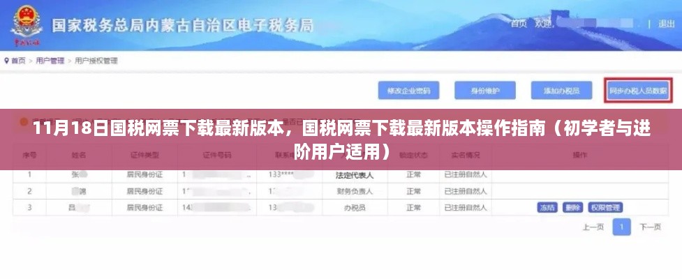 国税网票下载最新版本指南，操作详解，适合初学者与进阶用户