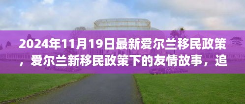 爱尔兰新移民政策下的友情故事与追梦温馨之旅（2024年最新）