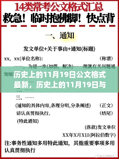 历史上的11月19日与公文格式最新演变，深度探究及格式更新