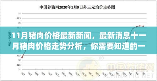 十一月猪肉价格最新动态，全面解析最新消息与走势分析