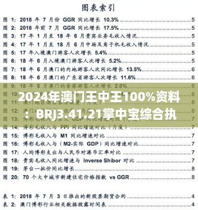 2024年澳门王中王100%资料：BRJ3.41.21掌中宝综合执行策略