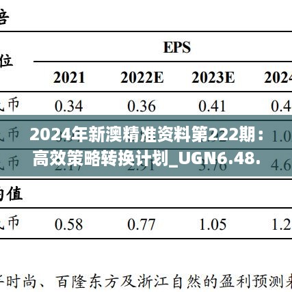 2024年新澳精准资料第222期：高效策略转换计划_UGN6.48.40专属版本