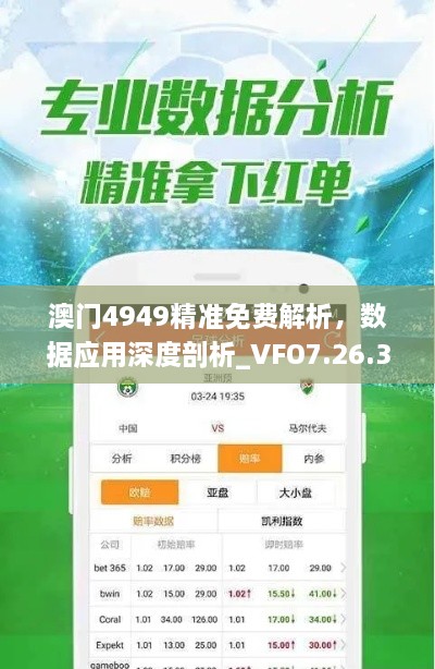 澳门4949精准免费解析，数据应用深度剖析_VFO7.26.30计算能力版