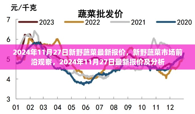 2024年11月27日新野蔬菜市场最新报价及分析，前沿观察市场动态