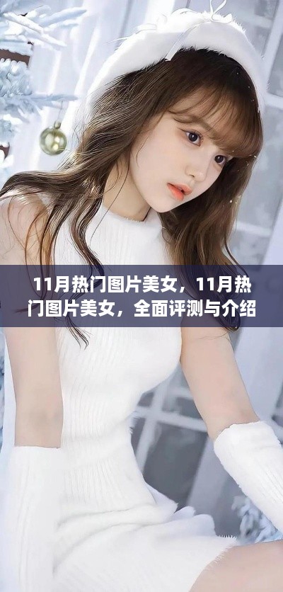 11月热门美女图片大放送，全面评测与介绍