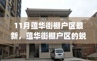 蕴华街棚户区蜕变记，十一月见证奇迹时刻的学习成就之路