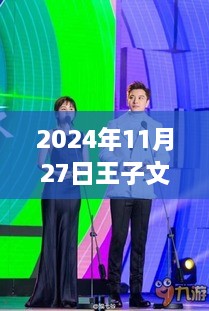 王子文贾乃亮携手合作，深度解读背后的故事，最新合作动态揭秘于2024年11月27日