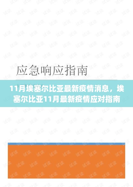 埃塞尔比亚11月疫情最新消息，防护指南与技能学习全攻略