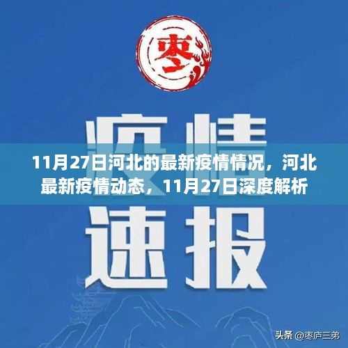 11月27日河北疫情最新动态，深度解析疫情情况