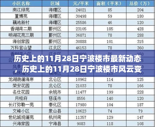 历史上的11月28日宁波楼市深度解析与观点分享，风云变幻的动态与最新趋势