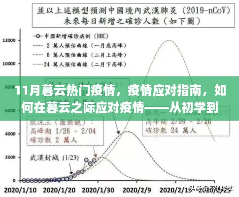 暮云之际的疫情应对全面指南，从初学到进阶的指导攻略