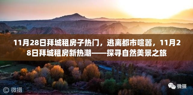 拜城租房新热潮，逃离都市喧嚣，探寻自然美景之旅（11月28日热门）