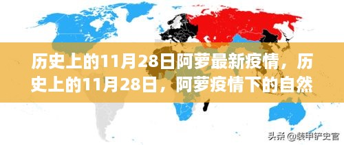 历史上的11月28日阿萝疫情下的自然美景之旅，寻找内心的宁静与平和日