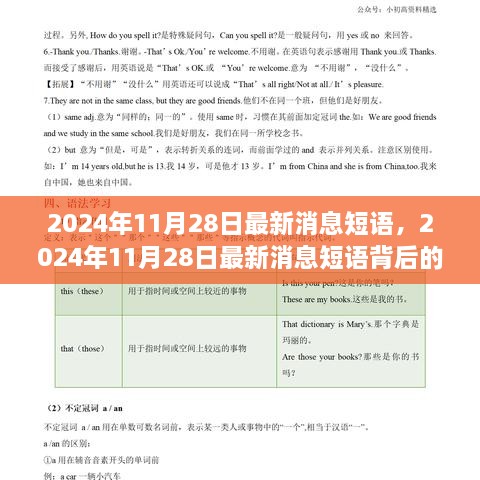 2024年11月28日最新消息短语及其背后的观点纷争解析