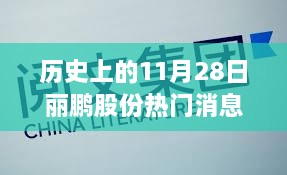 历史上的11月28日丽鹏股份热门消息回顾与深度解读，透视背后的观点争议