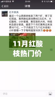 11月红酸枝热门价格概览，最新市场动态，一文了解最新行情