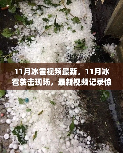 惊人瞬间！最新视频记录11月冰雹袭击现场