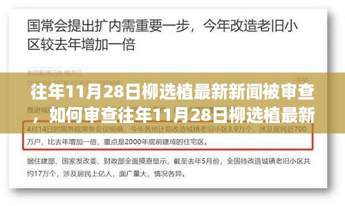 详细步骤指南，审查往年1月28日柳选植最新新闻的步骤与注意事项