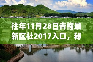 青榴最新区社2017入口，秘境探索与神秘小店的独特风味