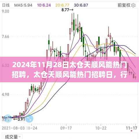 太仓天顺风能热门招聘日，行业趋势与个人选择的交汇点