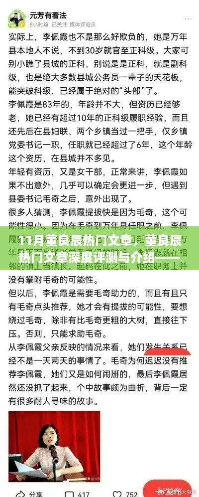 董良辰11月热门文章深度解析与介绍