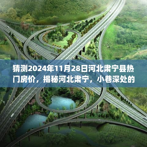 揭秘河北肃宁，小巷特色与未来房价猜想——2024年视角的探究报告