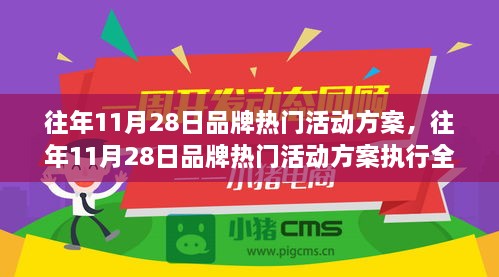 往年11月28日品牌热门活动方案详解与执行全攻略，从入门到精通指南