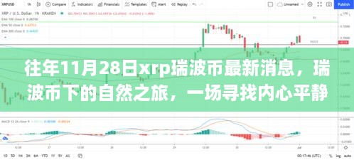 瑞波币下的自然之旅，寻找内心平静的奇妙探险之旅——往年11月28日最新消息解析