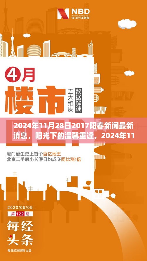 阳光下的温馨重逢，2024年11月28日阳春新闻回顾与友情故事