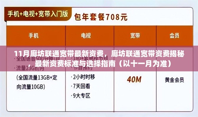 廊坊联通宽带最新资费标准揭秘，十一月选择指南