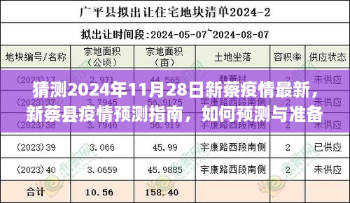 2024年11月28日新蔡县疫情预测与准备指南