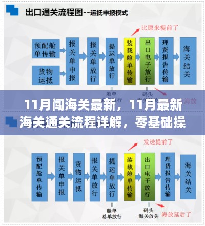 11月海关通关流程详解与操作指南，零基础入门，最新流程解析