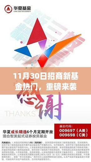 11月30日招商新基金热门解析，财富增值的新选择重磅来袭