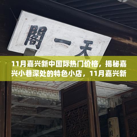 揭秘嘉兴小巷特色小店与11月新中国际房价背后的故事