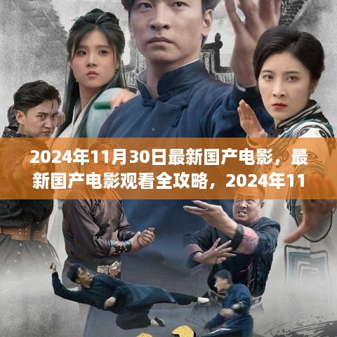 2024年11月30日国产电影全攻略，观看步骤指南与最新电影推荐