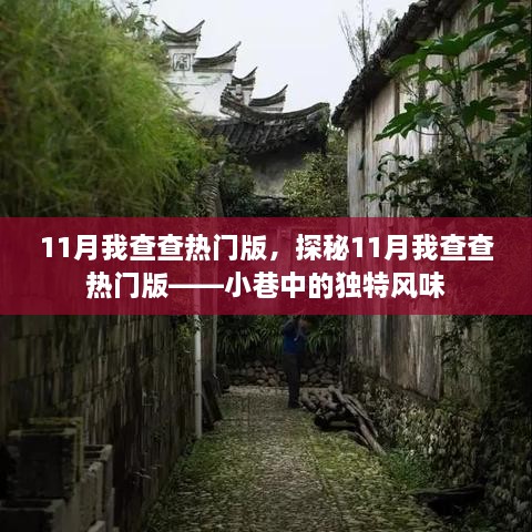 探秘11月我查查热门版，小巷独特风味揭秘