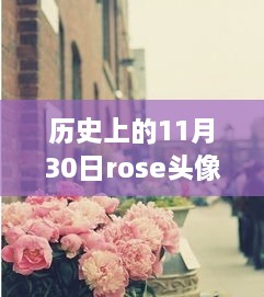 历史上的11月30日Rose头像高清探索之旅，最新探索之旅启程！