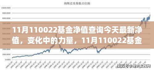 揭秘变化中的力量，今日最新净值与成长故事——解读11月110022基金净值背后的故事