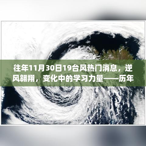 历年11月30日台风背后的励志故事，逆风翱翔，展现学习力量