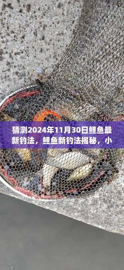 揭秘鲤鱼新钓法，小巷深处的垂钓宝藏，预测鲤鱼钓技新潮流（2024年）