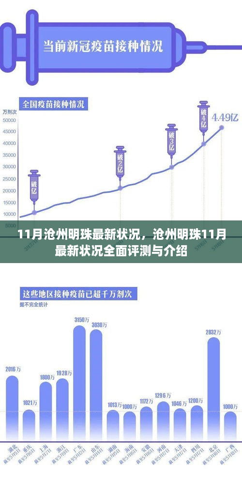 沧州明珠11月最新全面评测与详细介绍