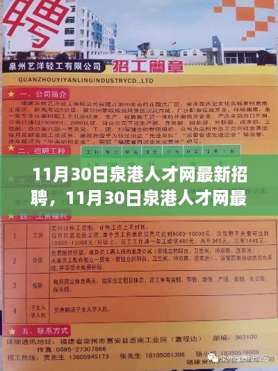 11月30日泉港人才网最新招聘全面介绍与评测