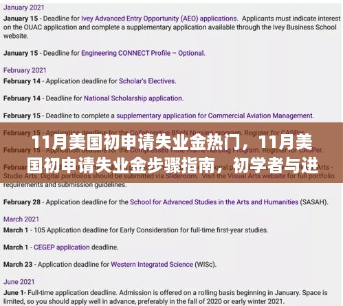 美国初申请失业金步骤详解，从入门到进阶的实用指南