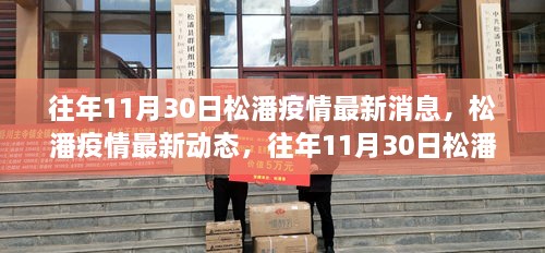 松潘疫情最新动态回顾，往年11月30日的防控进展与最新消息