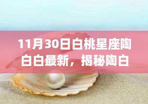 陶白白最新解读，揭秘白桃星座运势解析（11月30日版）